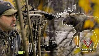 My First Hunt with the NEW Mathews Phase4! | Bowhunting Yukon Moose