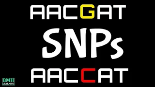 Single Nucleotide Polymorphism | SNP Markers | SNP Markers |