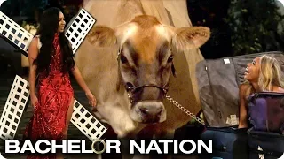 Who Made The Best Entrance? 🐮✈️🧳 | The Bachelor