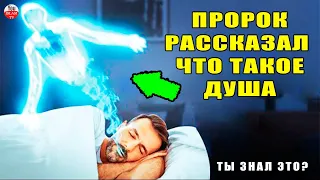 Что Аллах Поведал Посланнику, Когда У Него Спросили О Душе? ПРОРОК РАССКАЗАЛ НАМ, ЧТО ТАКОЕ ДУША!?