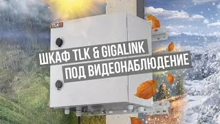 Шкаф GIGALINK & TLK под видеонаблюдение