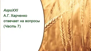 Александр Харченко   отвечты на вопросы  Часть 7