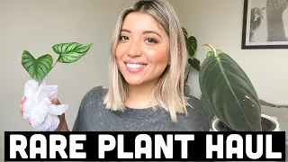 RARE PLANT UNBOXING | COLLECTIVE PLANT HAUL DECEMBER 2020