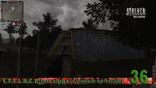 S.T.A.L.K.E.R. lost alpha (к учёным на Янтарь) 36