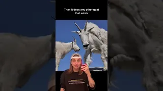 Misleading Animal Names 🐐🐍🦤w OnlyJayus - #Shorts