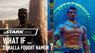 What If T'Challa Fought Namor? | Black Panther vs Namor Stop Motion | The Starkside