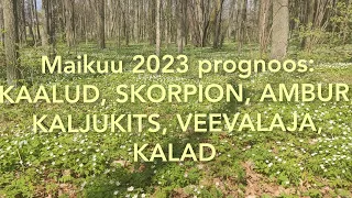 Maikuu 2023 prognoos: kaalud, skorpion, ambur, kaljukits, veevalaja, kalad @elamisevolu