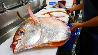 Japanese Street Food - GIANT OPAH SUNFISH Okinawa Japan