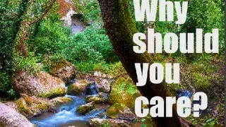 Why Should You Care About The Environment?