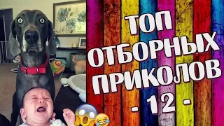 ПРИКОЛЫ 2019 Топ Отборных Приколов #12 │Ржака Юмор Угар Joke Humor│