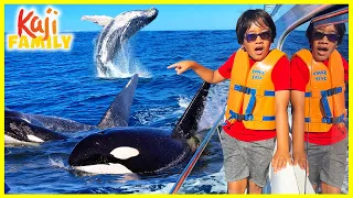 We Found lots of Whales in Hawaii!!