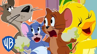 Tom & Jerry | Jerry & Friends | WB Kids