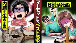 【実話】マーモットの内臓からペスト感染。次は致死率６割の病気が日本で流行る！？