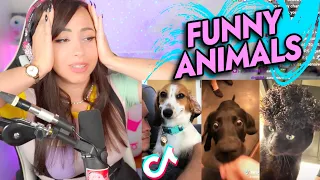 Bunny REACTS to Funny Animal Tik Toks to Brighten Up your Day 😂 🥰