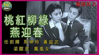 《粵語長片》桃紅柳綠燕迎春 (1954 )｜任劍輝｜周坤玲｜黃超武｜梁醒波｜鳳凰女｜導演：陳皮 | 香港電影 | 香港粵語電影 | 粵語中字