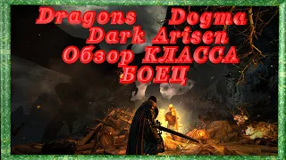 Dragon's Dogma Dark Arisen  Обзор Бойца