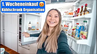 1. Wocheneinkauf nach Umzug 😍 Kühlschrank Organisation in neuer Küche! XXL Food Haul | Mamiseelen