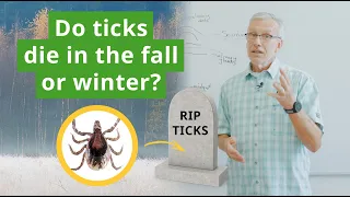 Do Ticks Die In The Fall Or Winter? Tick Expert Debunks This Myth