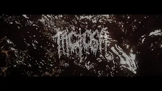 TACTOSA - AUGURED IN [OFFICIAL MUSIC VIDEO] (2022) SW EXCLUSIVE