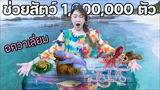 สร้างอควาเลี่ยมจากตลาดปลา! ได้ช่วยสัตว์ 1,000,000 ตัว