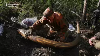 Vodka, Amputation, Ivory -- A Siberian Mammoth Hunt