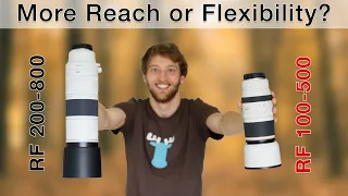 RF200-800 vs RF100-500 + 1.4? Which one is the better option for YOU? Real World Comparison