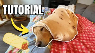 How to make a Dogburrito