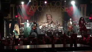 Fleshgod Apocalypse - The Violation