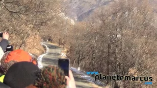 Rallye Wrc Monte Carlo 2017 - SPECIAL FLAT OUT