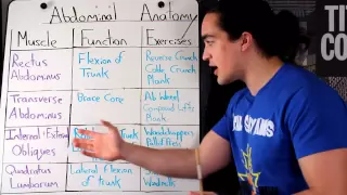 ABDOMINAL ANATOMY 101: HOW TO TARGET THEM + THEIR FUNCTION