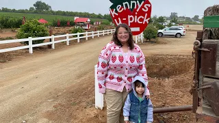 Strawberry picking at Kenny’s Strawberry Farm in Fallbrook Ca.