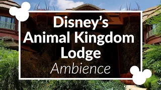 Disney's Animal Kingdom Lodge Ambience | Disney World Resort Ambience Loop Scenescape