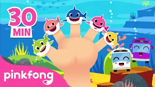 Família Tubarão de Dedos e mais músicas infantis | +Compilação | Pinkfong Canções para crianças