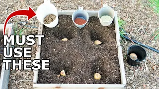 Plant Potatoes This Way for Huge Harvest