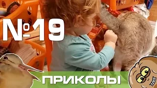 Лучшие приколы и фейлы Июнь 2016 Выпуск 19