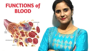FUNCTIONS OF BLOOD
