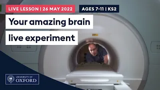 Your Amazing Brain Live Experiment | Ages 7-11 / KS2