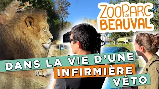 IMMERSION dans la CLINIQUE VÉTÉRINAIRE du ZooParc de Beauval