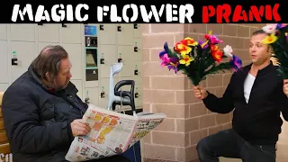 Akward Flower Magic PRANK💐 - Julien Magic