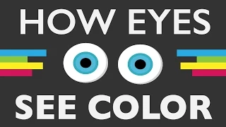 How Do Your Eyes See Color?