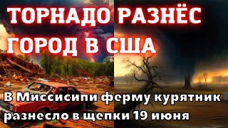 В США торнадо разрушили полностью город в штате Миссисипи. Огромную ферму курятник разнесло в щепки