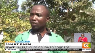 SMART FARM | Kisii farmer enjoying roof top farming