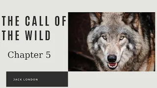 The Call of the Wild by Jack London- Chapter 5: The Toil of Trace and Tail -   Audiobook