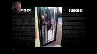 Reacting To Angry  Woman Destroys A Gas Station Store