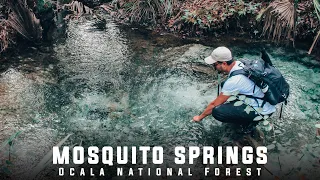 Searching For A Hidden Spring In A Ghost Town