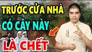 Chớ Dại TRỒNG 8 CÂY Này TRƯỚC CỬA Nhà Kẻo Gia Chủ Gặp THẢM HỌA, NGHÈO BỀN VỮNG, Hại Chết Cả Nhà