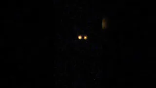 “The CRAZIEST Thing Ever Seen” ORBS SPOTTED | The Proof Is Out There | The UnXplained Zone | #Shorts