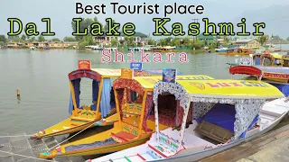 Kashmir Shikaras Dal Lake srinagar| Best Place For Tourists| Smart city srinagar