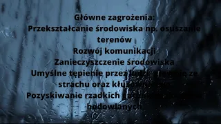 Przegląd i znaczenie gadów