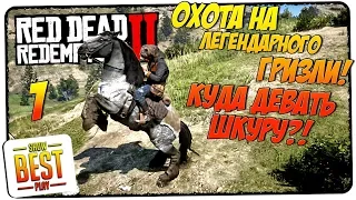 RED DEAD REDEMPTION 2 🎮 КУДА ДЕТЬ ШКУРУ ЛЕГЕНДАРНОГО МЕДВЕДЯ?! 🎮 Гайд, советы, руководство